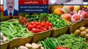 تباين أسعار الخضراوات في أسواق مطروح اليوم الأربعاء وبيع البصل بـ15 جنيها